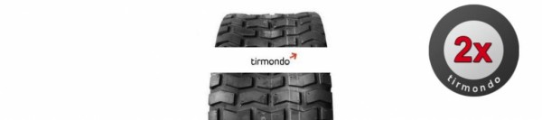 2x 15x6.00-6 MAXXIS C9266 4PR